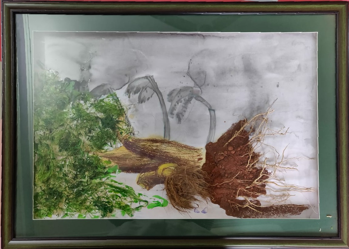 Hopeless bird
