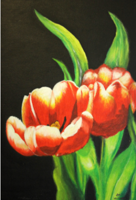 Bright Tulips