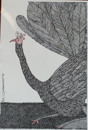 Peacock
