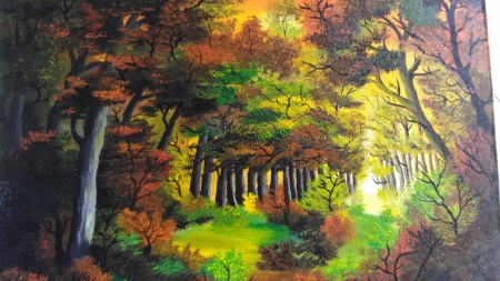 Warm hues of forest