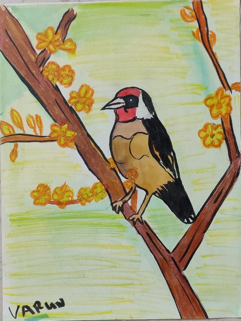 European Gold Finch