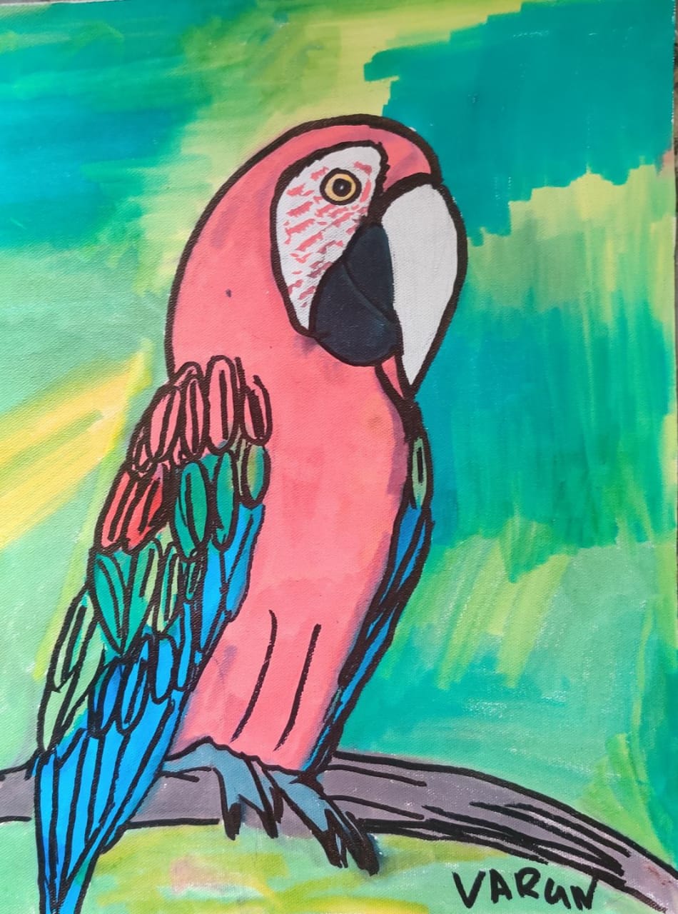 Scarlet Macaw