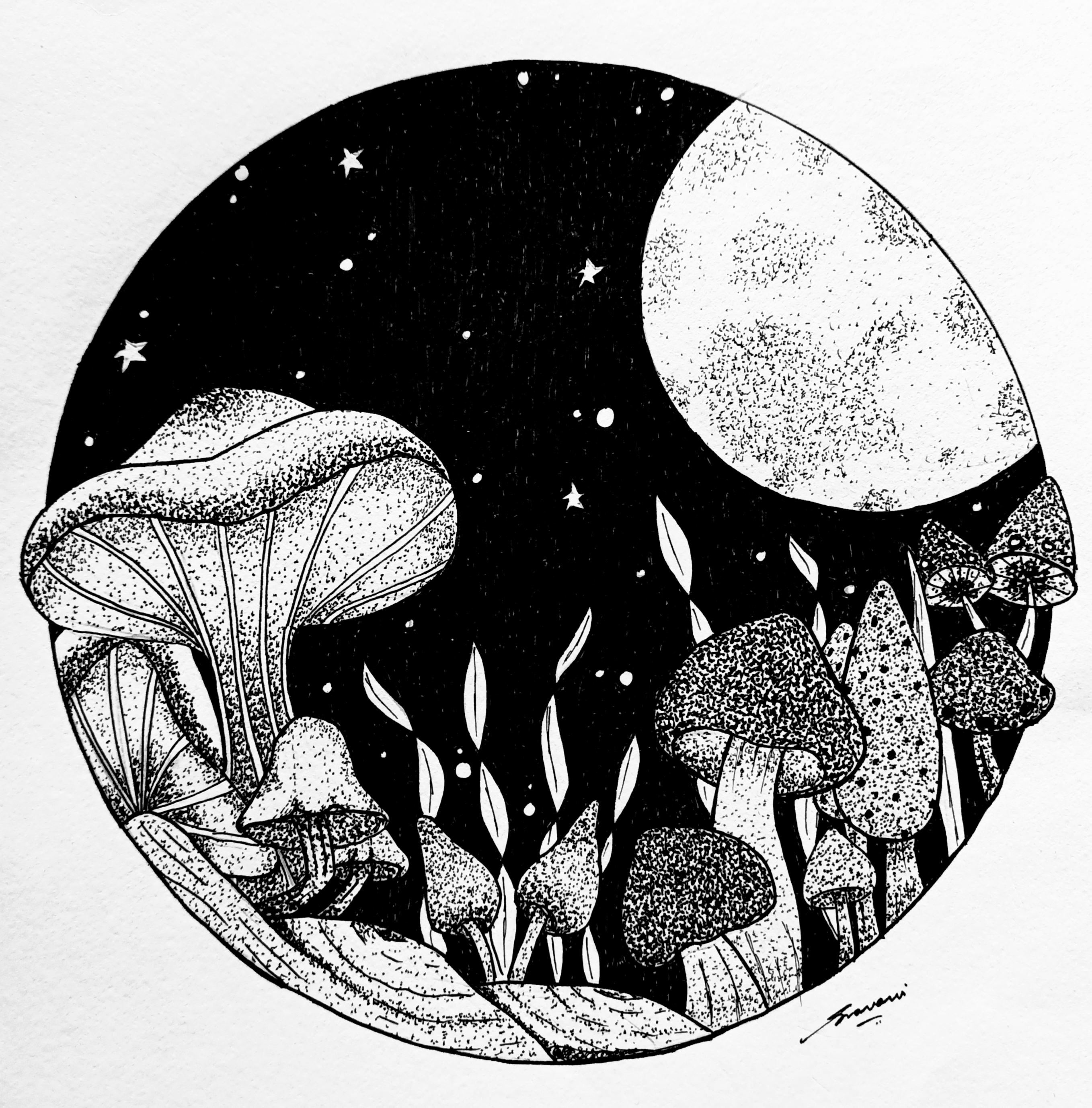 For the Love of mushrooms