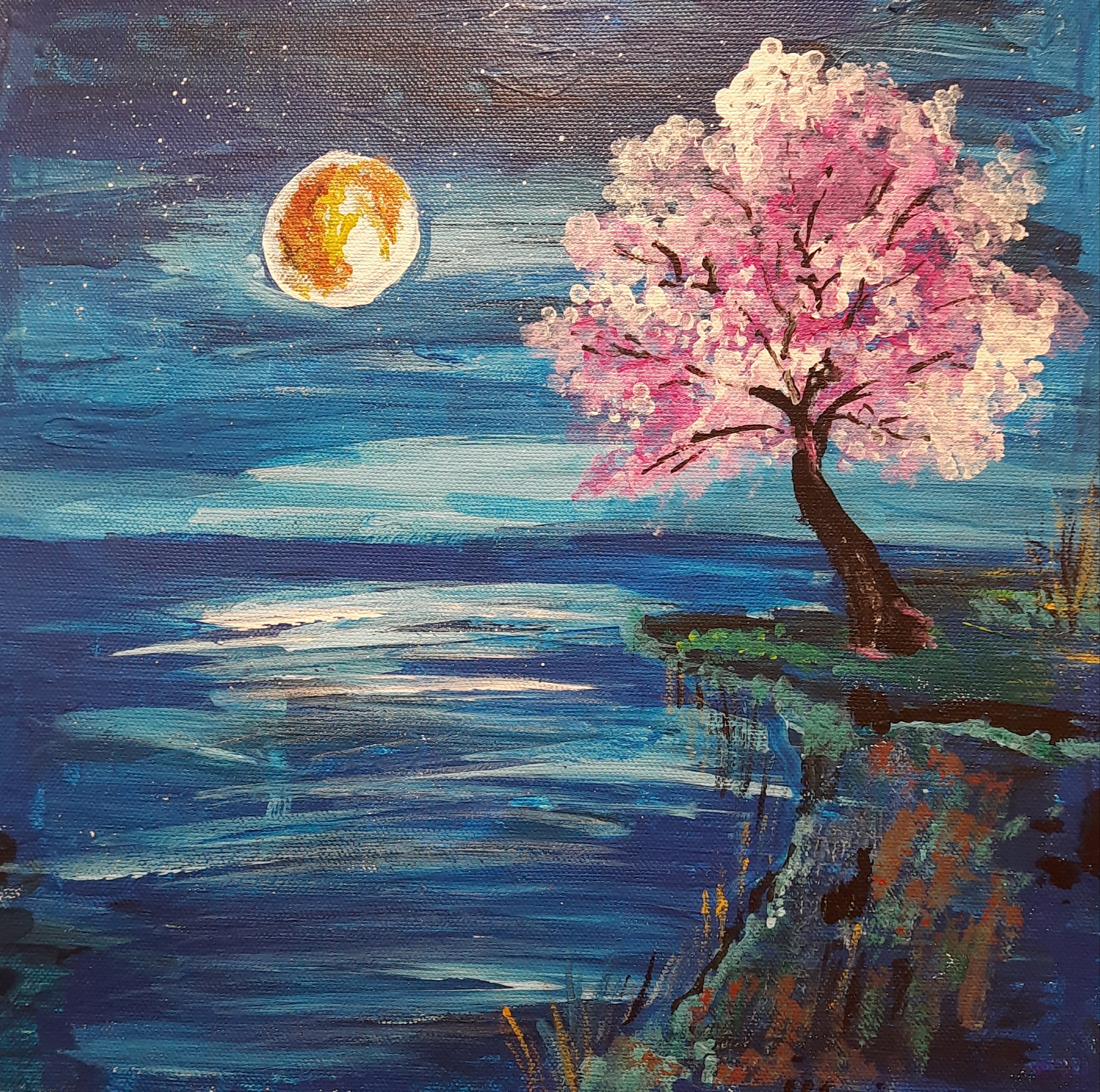 Dark Serene Night
