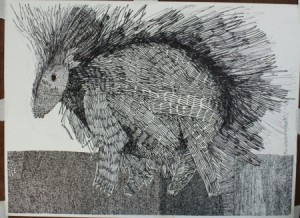 Porcupine