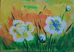 Summer Flowers